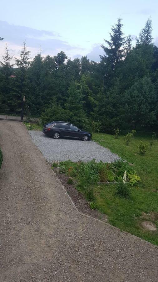 Domki Bieszczady Villa Uherce Mineralne Buitenkant foto